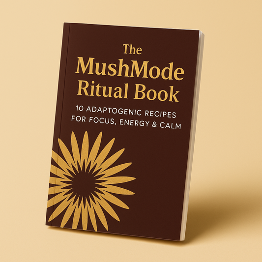 The MushMode Ritual E-book (10 adaptogenic recipes)